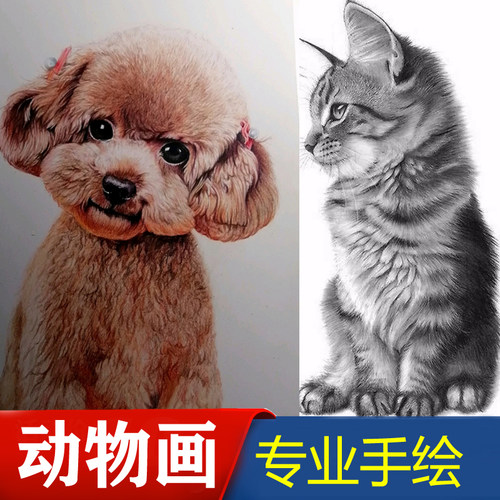 手绘画像定制作做素描速写水彩铅肖像帮代画照片动宠静物头像设计 - 图2
