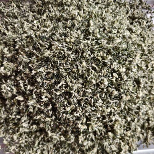 2026新茶苏州西山吴庭碧螺春小叶种茶果混种明前手工100克铁罐 - 图1