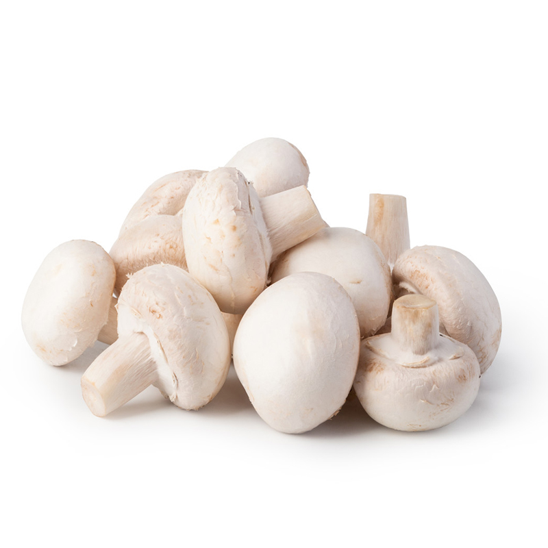 新鲜口蘑白蘑菇500g西餐食材时令蔬菜煲汤烧烤酒店食材食用菌菇 - 图3