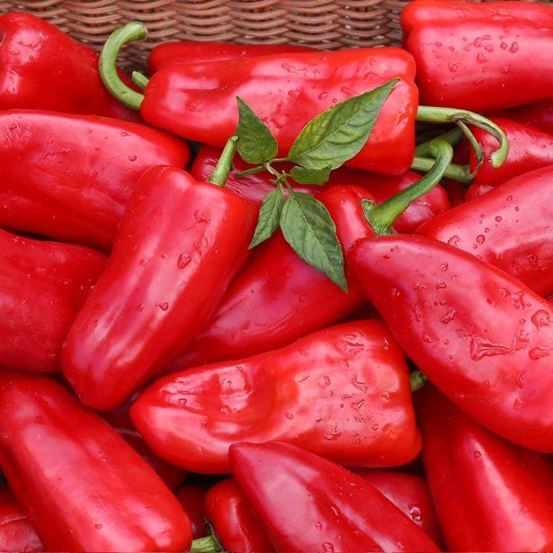 新鲜红辣椒大红辣椒红尖椒农家现摘辣椒鲜红甜椒当季菜包邮菜椒,淘宝优惠券,粉丝福利购,淘宝优惠卷
