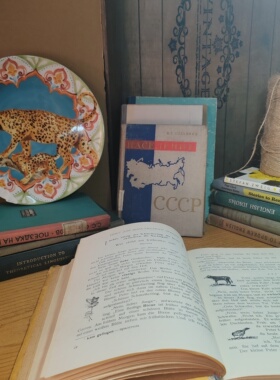 外文道具样板房装饰书h