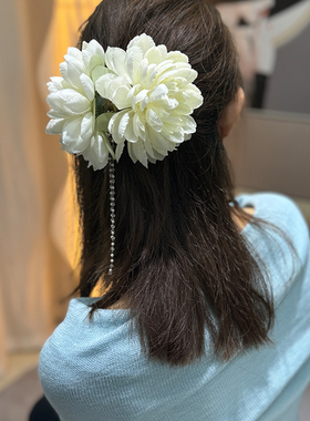 春季花朵抓夹女高级感中号夸张发夹2024新款高端气质鲨鱼夹发饰