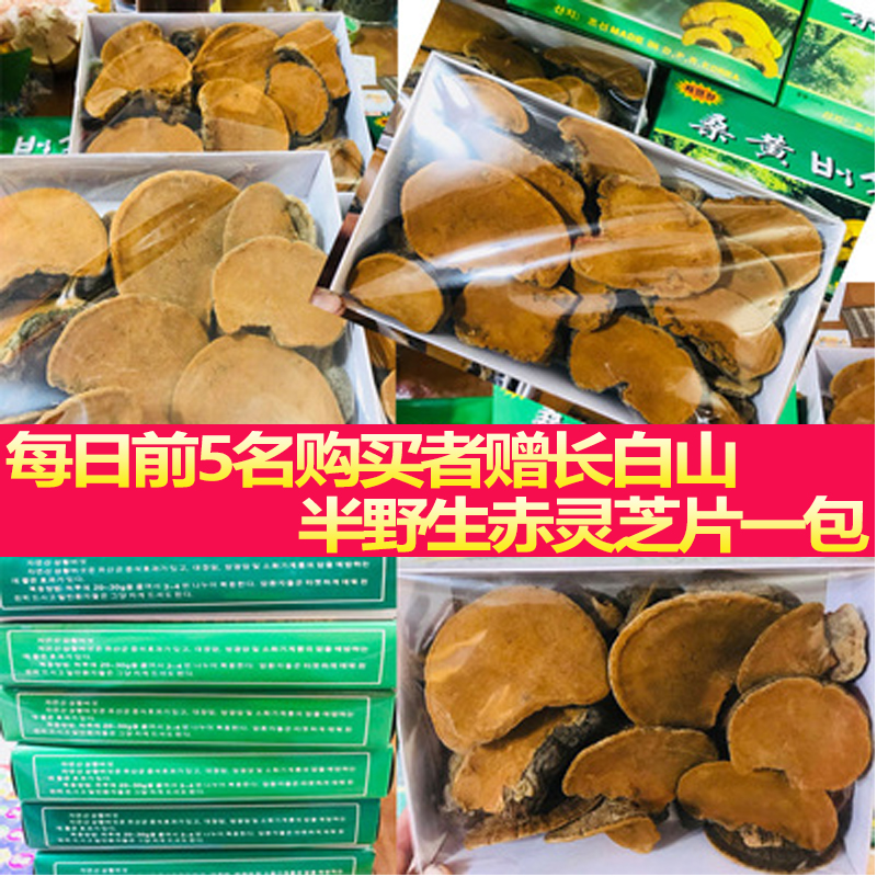 桑黄 野生 特级 500g桑黄菌茶桑树桑黄灵芝盒装非同仁堂 - 图0