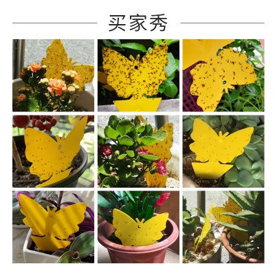 Expest绿植盆栽除虫花卉防水灭花盆小黑飞虫神器粘虫黄板室内家用 虎窝淘