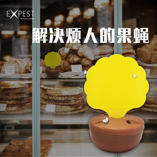 EXPEST果蝇诱捕器贴果蝇饵剂粘虫板灭小飞虫厨房灭杀捕蝇器 - 图0