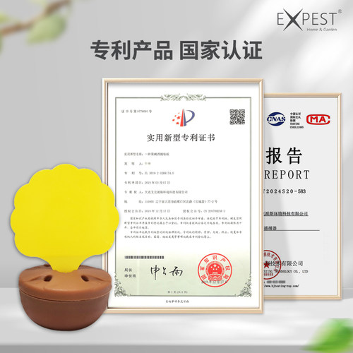 EXPEST果蝇诱捕器贴果蝇饵剂粘虫板灭小飞虫厨房灭杀捕蝇器 - 图3