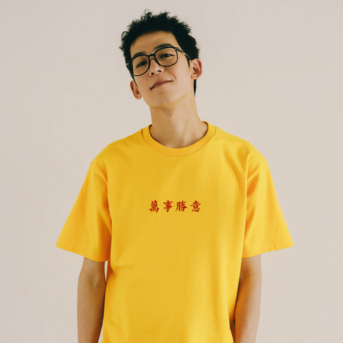 在宇间祝你：万事胜意！ - 图1