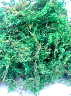 绿色苔干水草造型泡沫铺面插花