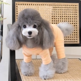 Предотвращение прохладной сумки весна живота и осенью четырехдушных брюк плюшевая собака кошка кошка питомца молодые щенки четыре юбки