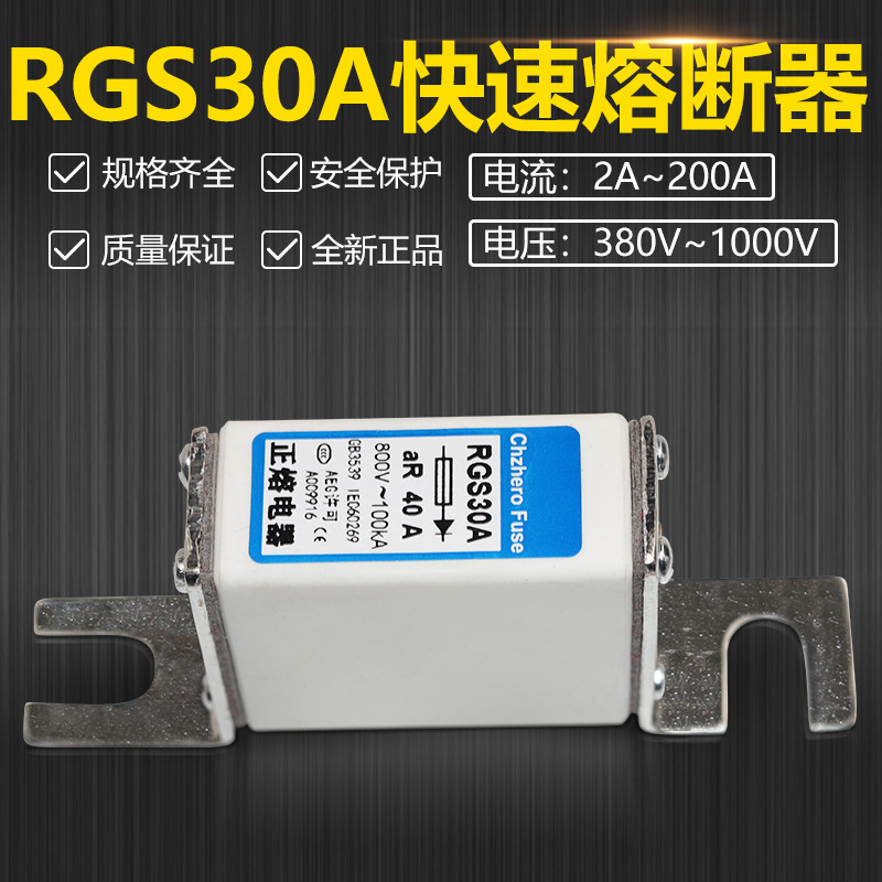 RGS30A 660V690V30A25A20A16A15A12A10A6A5A2A快速熔断器 - 图2
