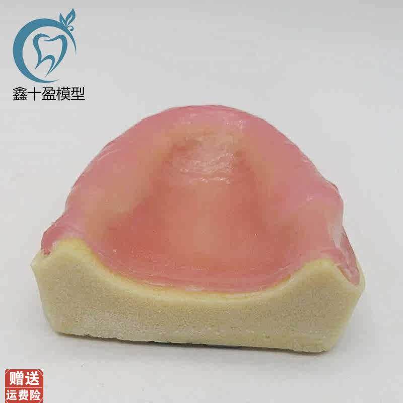牙科牙齿种植模型全口r种植练习模型软牙龈口腔操作种植练习包邮,淘宝优惠券,粉丝福利购,淘宝优惠卷