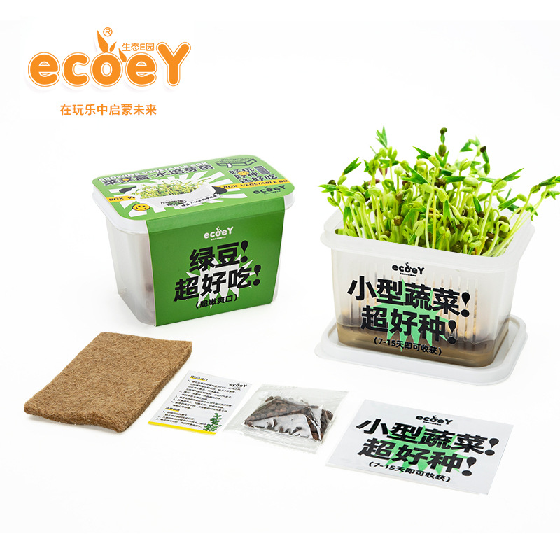 Ecoey水培蔬菜豆芽发芽苗菜种菜盆多苗盘儿童种植科学实验菜菜盒 - 图2