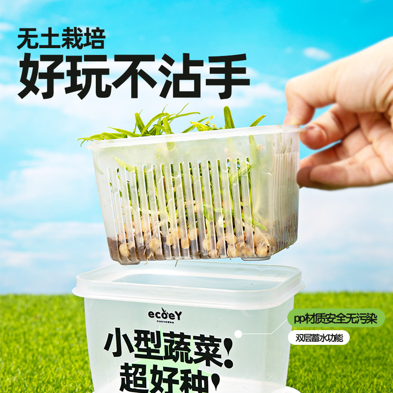 Ecoey水培蔬菜豆芽发芽苗菜种菜盆多苗盘儿童种植科学实验菜菜盒 - 图0