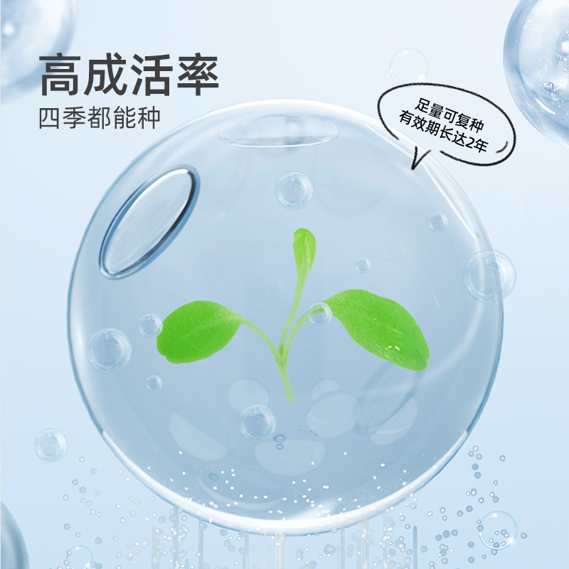 mideer弥鹿水培阳光种植房儿童玩具科学小实验套装植物生长观察盒 - 图2