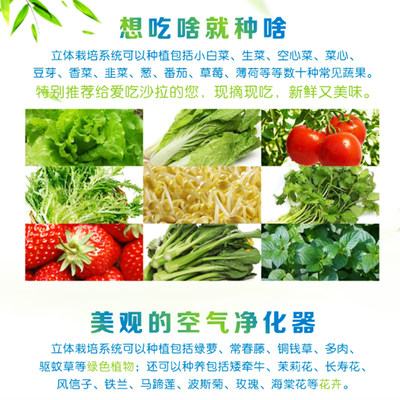 菠萝塔无土栽培蔬菜设施种植设备家庭种菜霧培立体阳台种菜神器 虎窝淘