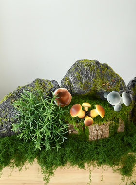 仿真苔藓石头仿生假石头景观摆件庭院花园造景山石影视拍摄道具