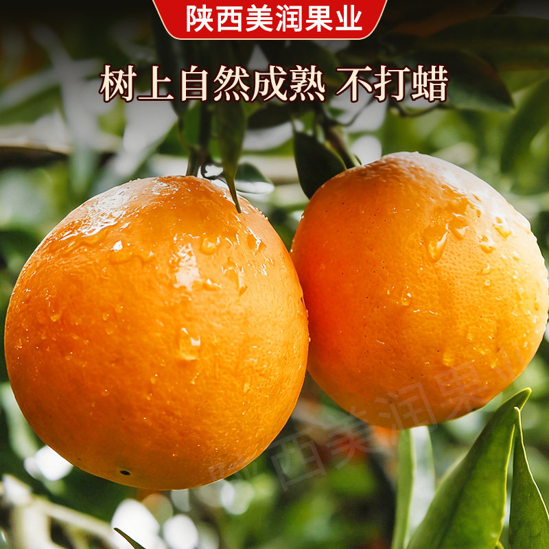 江西正宗赣南脐橙新鲜当季水果产地应季橙子现摘甜橙脐橙,淘宝优惠券,粉丝福利购,淘宝优惠卷