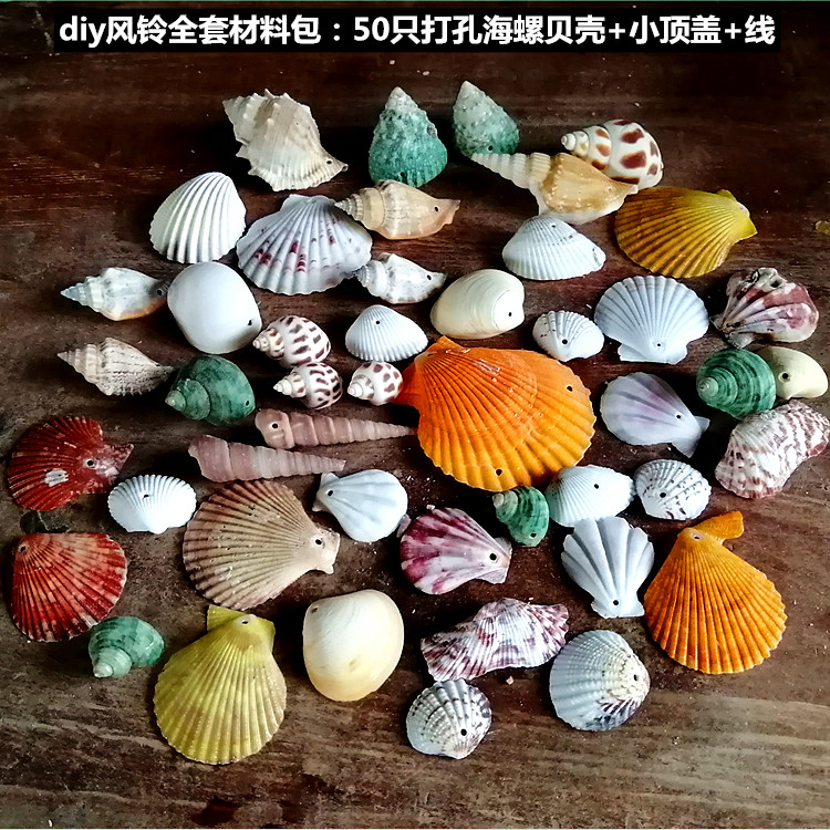 天然海螺贝壳海星 鱼缸造景寄居蟹打孔儿童手工相框diy风铃漂流瓶 - 图0