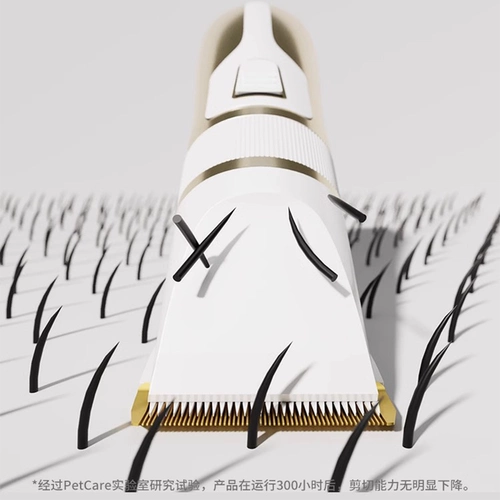 Бритье собаки, питометра