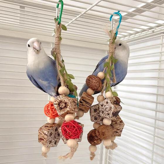 Sepak takraw nuts chewing skewers peony tiger skin Pacific black phoenix small and medium-sized parrots playing bird supplies 96503