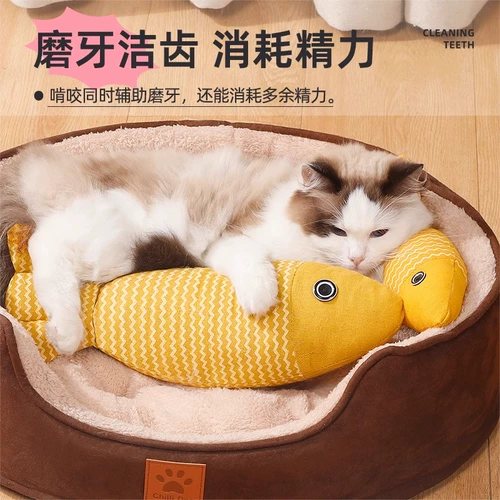 Все кошачьи монетные игрушки, котенок рыбного котенка, самодиспаж