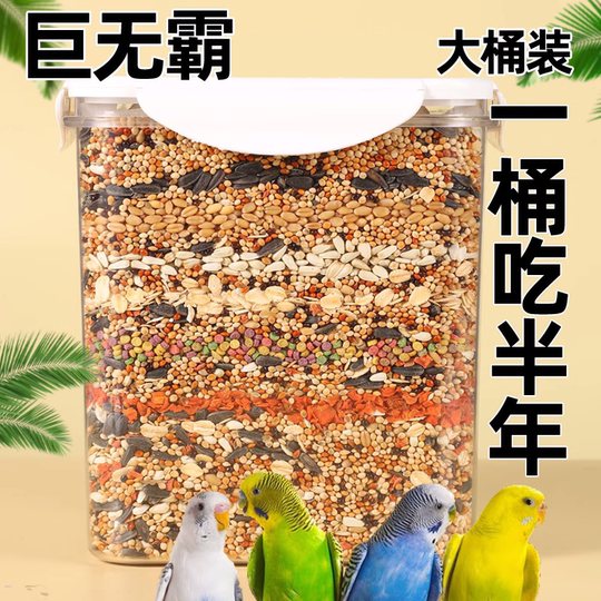 Fresh and plump! New mixed nutritional food for parrots in shell