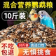 Fresh and plump! New mixed nutritional food for parrots in shell