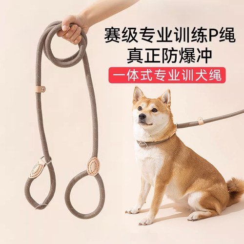 狗狗绳子防爆冲P链遛狗牵引绳防挣脱狗链子中大型犬防爆冲拴狗绳 - 图0