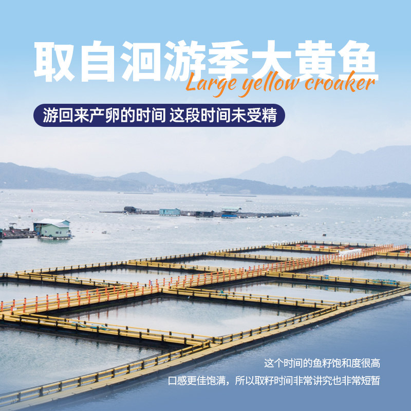 【自】三都港黄花鱼籽200g*5 大黄鱼鱼卵鱼泡新鲜海鲜水产黄鱼籽,淘宝优惠券,粉丝福利购,淘宝优惠卷