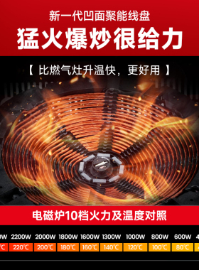 [政府补贴]志高电磁炉电陶炉双灶