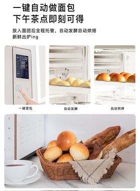 卡士540家用电烤箱风炉平炉蒸汽
