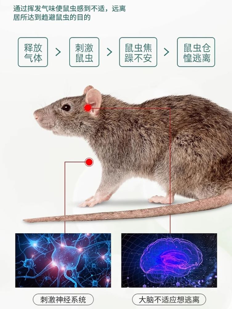 老鼠一锅端家用药一闻就室外特效驱赶老鼠神器室内强力死鼠非神药-图2