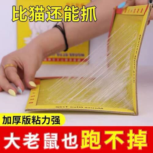 老鼠贴强力胶粘大老鼠神器粘超强粘鼠板超强粘板老鼠粘强力粘鼠板 - 图1