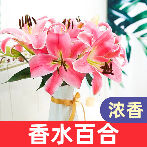 鲜花云南直发香水百合昆明基地玫瑰花向日葵生日花束水养速递同城 - 图2