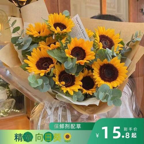 黄莺花向日葵太阳花直发特价斗南新鲜水培鲜花客厅家用混搭花束礼 - 图0