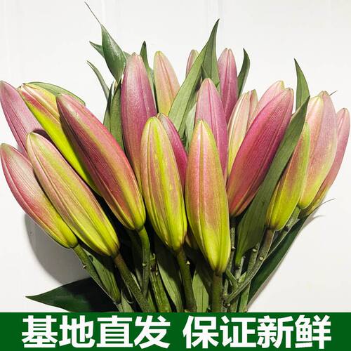 香水百合水养鲜花花束直云南昆明基地速递同城客厅摆件礼物玫瑰 - 图1