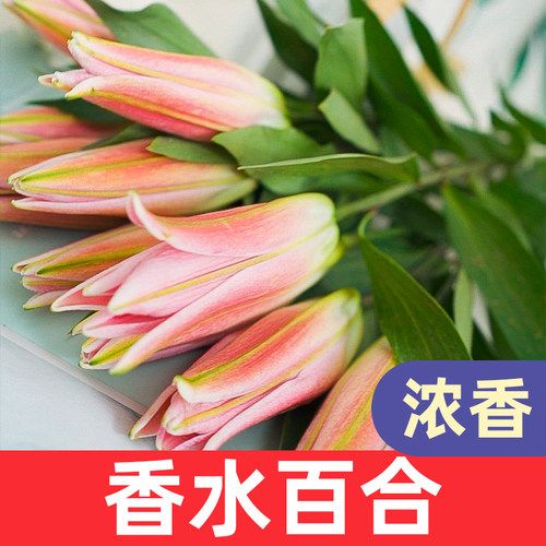 鲜花云南直发香水百合昆明基地玫瑰花向日葵生日花束水养速递同城 - 图1