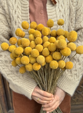 精选黄金球干花ins居家装饰
