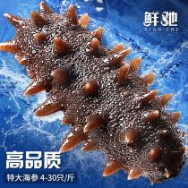 Ready-to-eat Sea Cucumber Thorn in the Liao Dynasty Dalian Fresh Dry Cargo Heisei Third Flagship Store Single Loaded bag Non-Petty Petty Dry