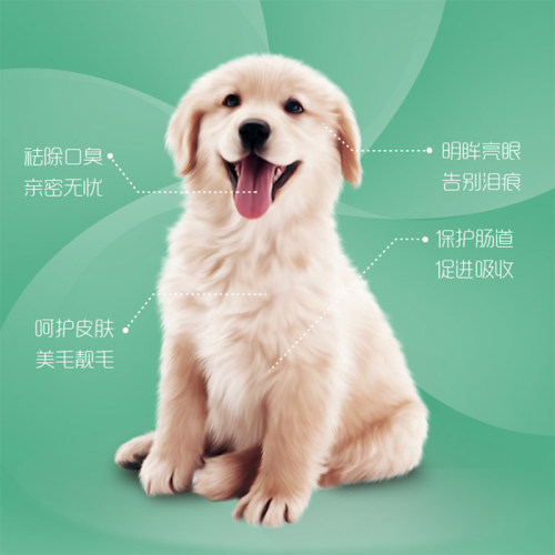 简简单单冻干狗粮旗舰店幼犬营养增肥大中小型犬通用型天然10kg - 图2