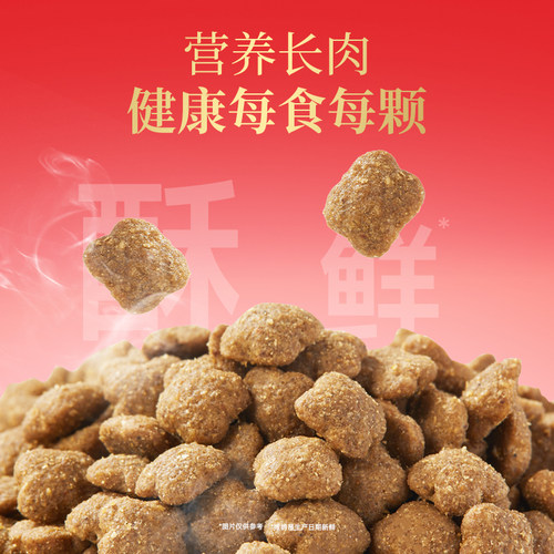 宽福猫粮成猫专用全价营养鲜肉猫咪幼猫圆脸2kg美短20英短幅10斤 - 图1