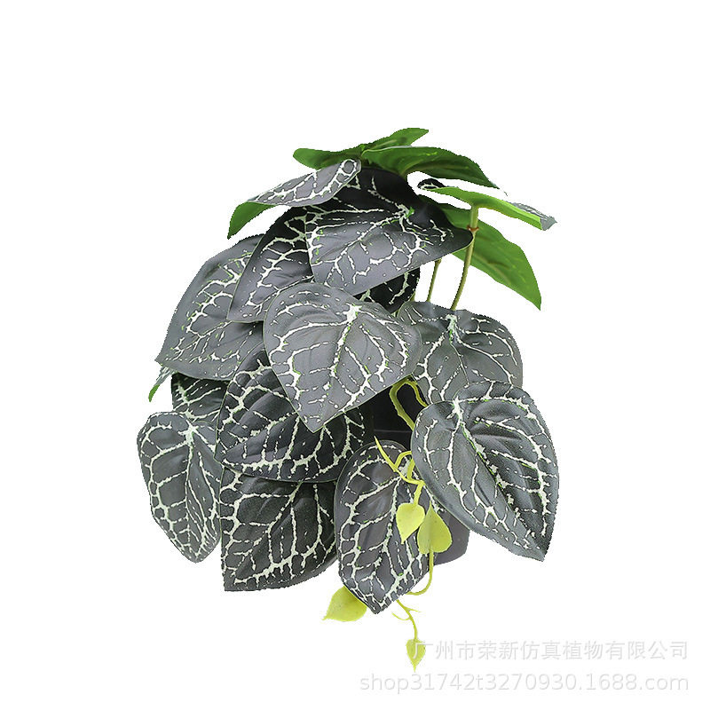 新款亚马逊绿植垂条盆栽组合 家居桌面摆件吊钟仿真植物绿植盆景,淘宝优惠券,粉丝福利购,淘宝优惠卷