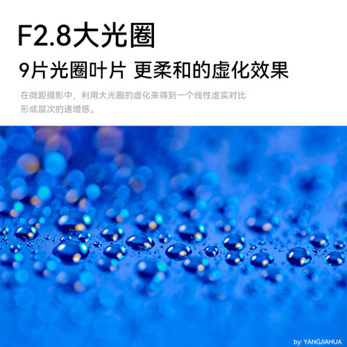 七工匠60mmF2.8二代1倍超微距昆虫花卉适用索尼富士Z50佳能RF M43 - 图0