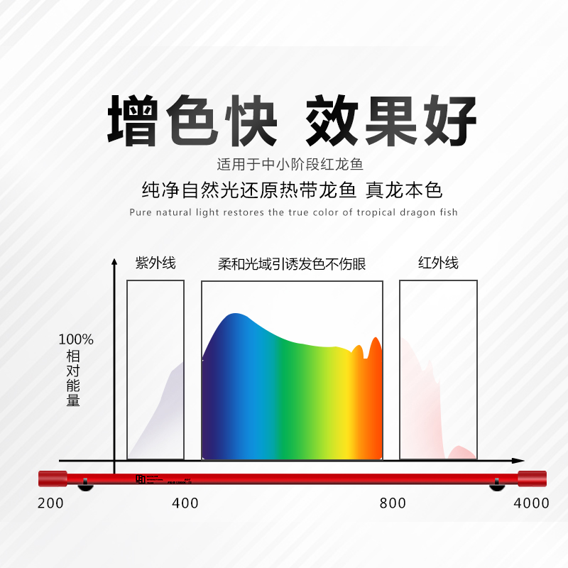 神灯龙鱼灯发色灯NEC日光灯三基色增色灯白光曾艳鱼缸灯防水 - 图0