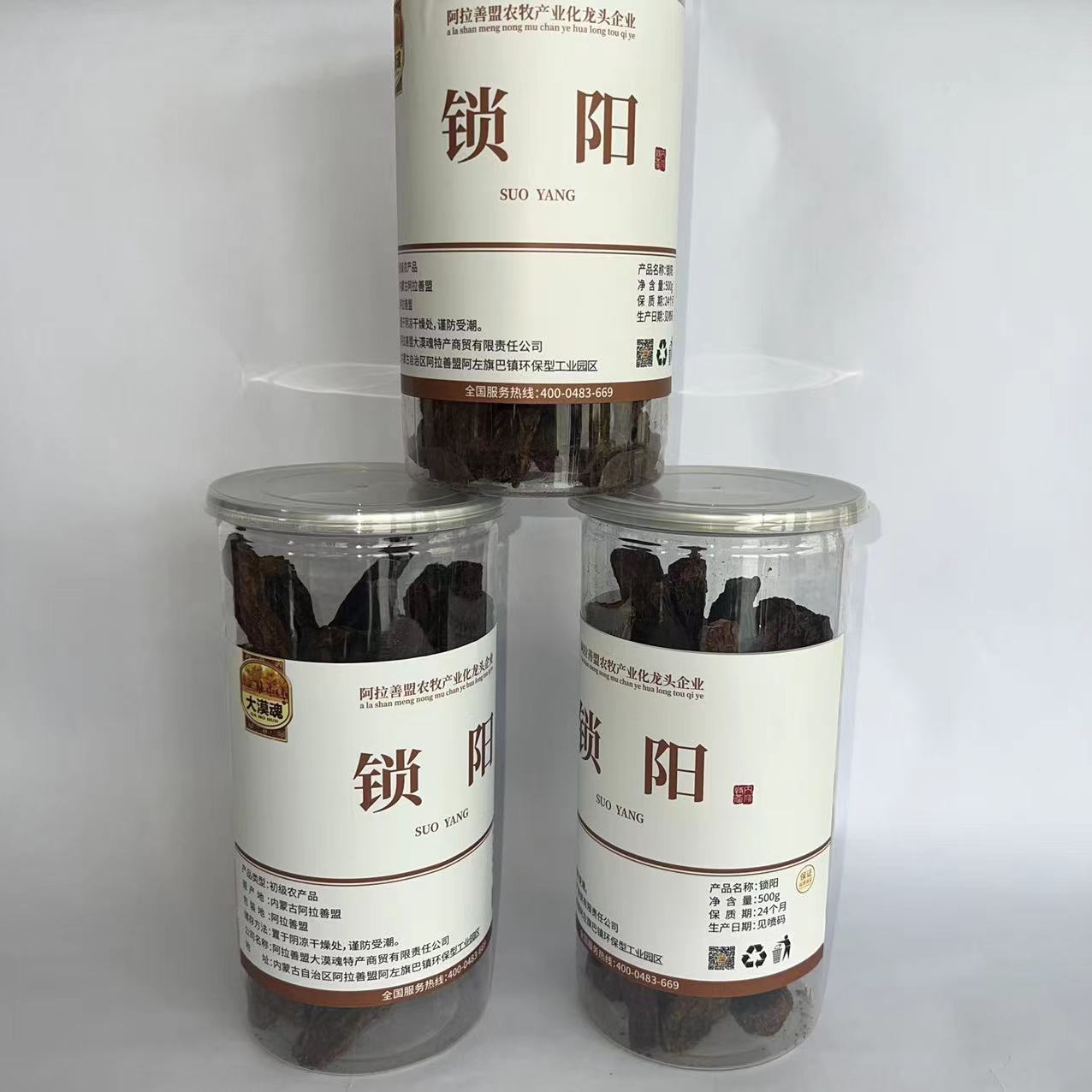 （去头中段）内蒙古阿拉善金锁阳泡水泡酒养胃牧民直供