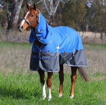 Winter Horse Clothing Medium Thickness 220 gr Cotton 1200D High Waterproof High Breathable Fabric Size Full Special Price Winter Horse Clothing