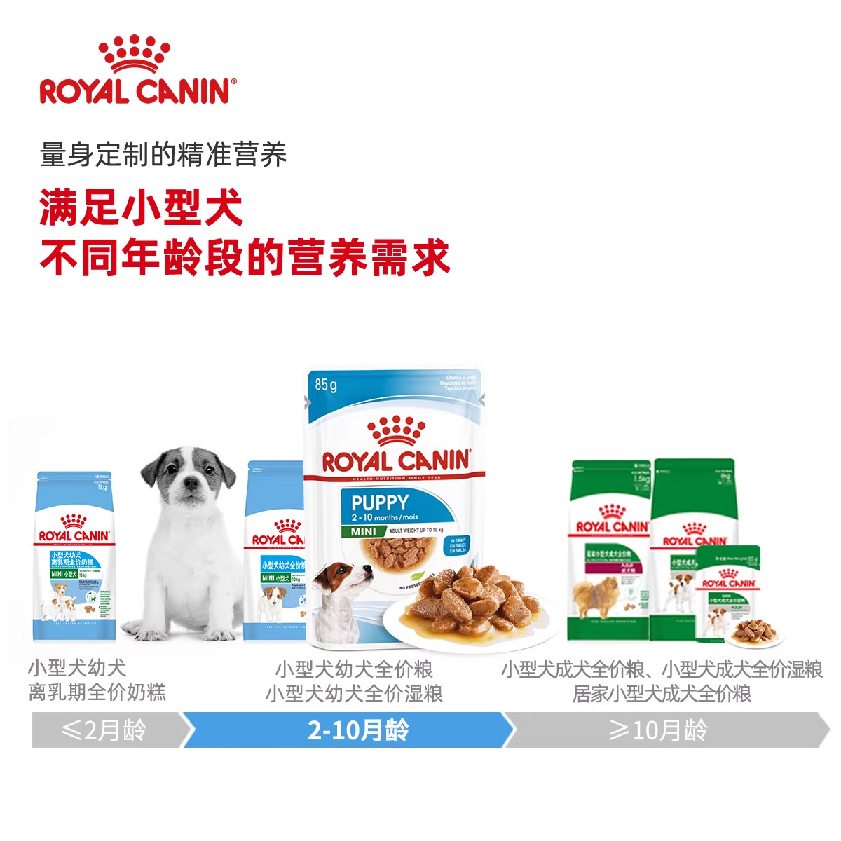 皇家湿粮狗粮幼犬罐头成犬中型犬主食湿粮小型犬泰迪比熊狗狗罐头,淘宝优惠券,粉丝福利购,淘宝优惠卷