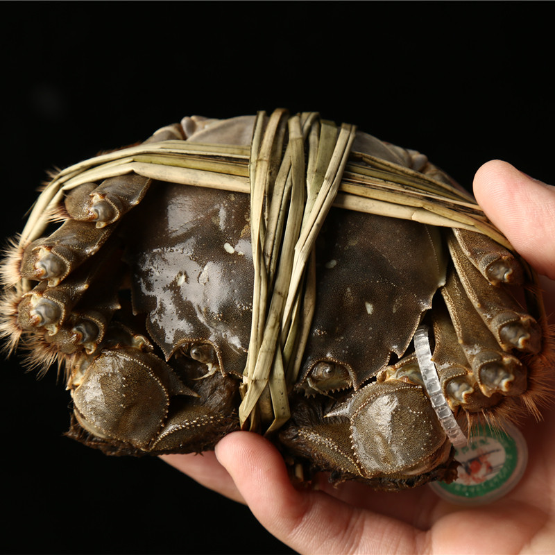 活蟹6只苏州大闸蟹阳澄鲜活大螃蟹公蟹5两母蟹4两中秋大蟹礼盒,淘宝优惠券,粉丝福利购,淘宝优惠卷