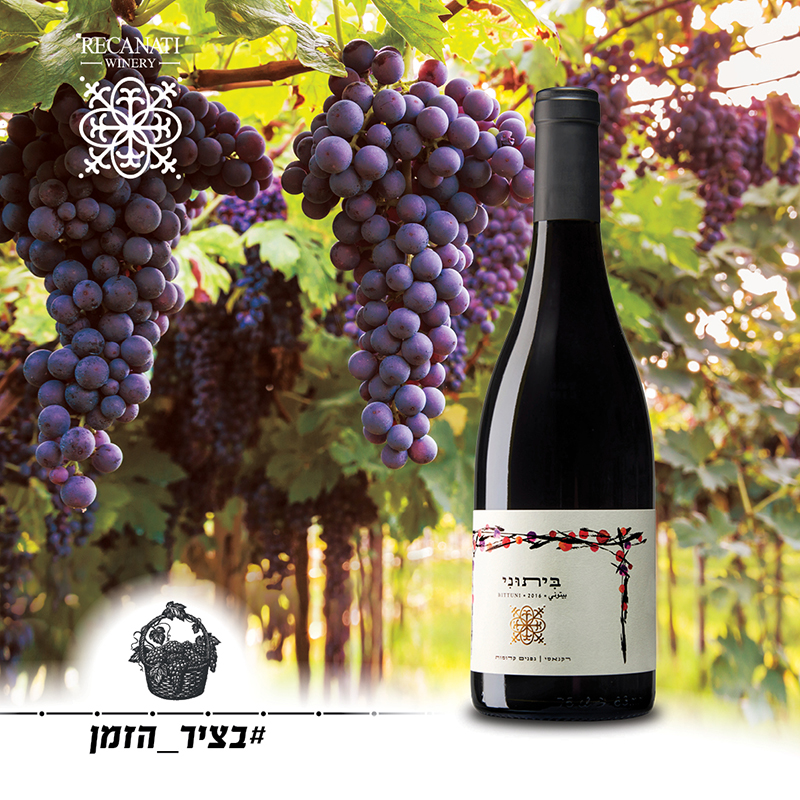 Recanati Winery Bittuni 2019 卓越以色列酒的代名词 本土品种 - 图2