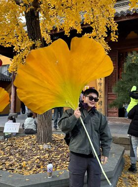 仿真银杏叶大号装饰扇子户外摆件